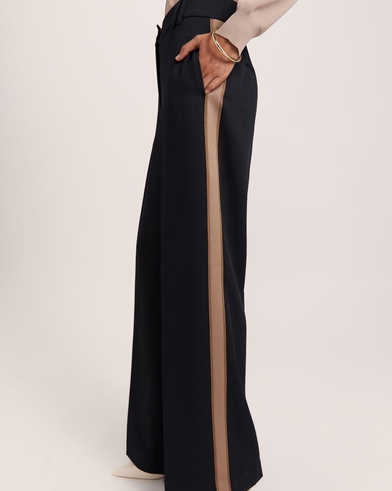 Dharma Side Stripe Pant in BLACK