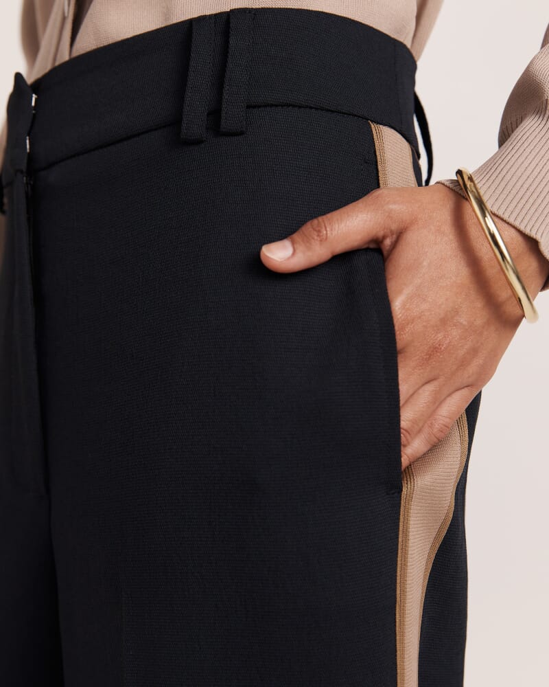 Dharma Side Stripe Pant in BLACK