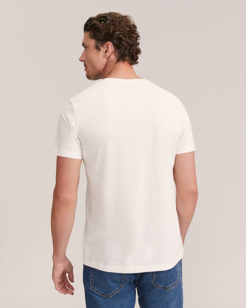 Daniel Crew Neck Tee in ARCTIC WHITE