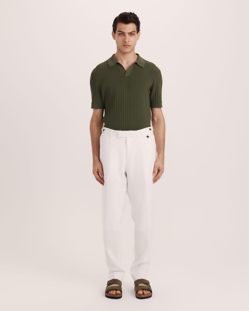 Wade Pleat Front Linen Pant in WHITE