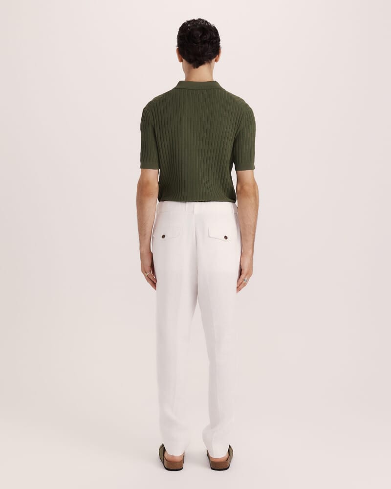 Wade Pleat Front Linen Pant in WHITE