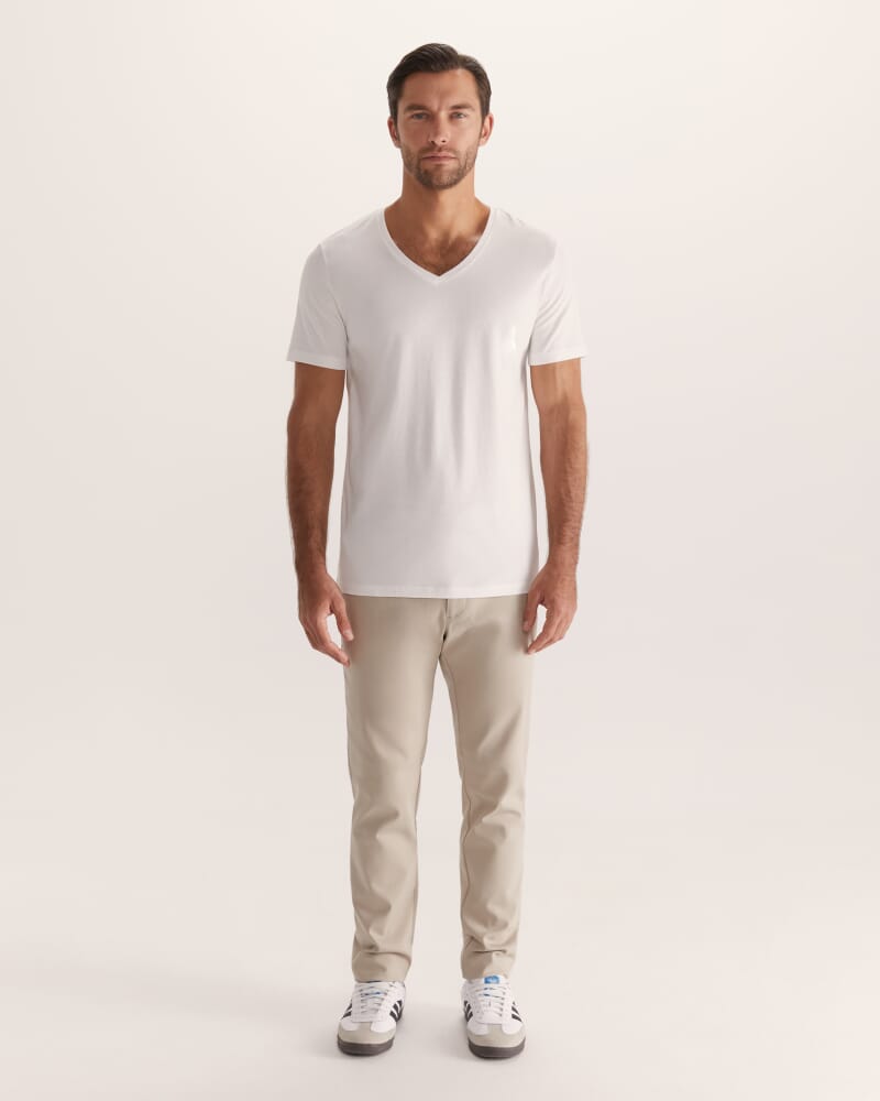 Daniel V Neck Tee in ARCTIC WHITE