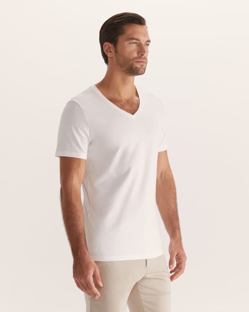Daniel V Neck Tee in ARCTIC WHITE