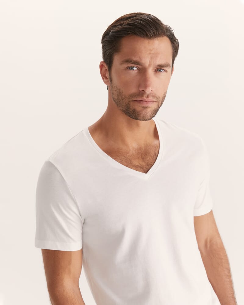 Daniel V Neck Tee in ARCTIC WHITE