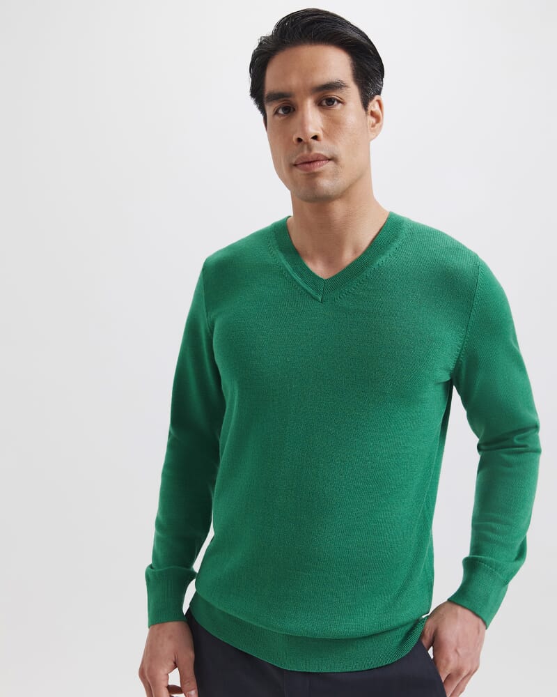 Franklin Merino Wool V Neck Knit in GRASS
