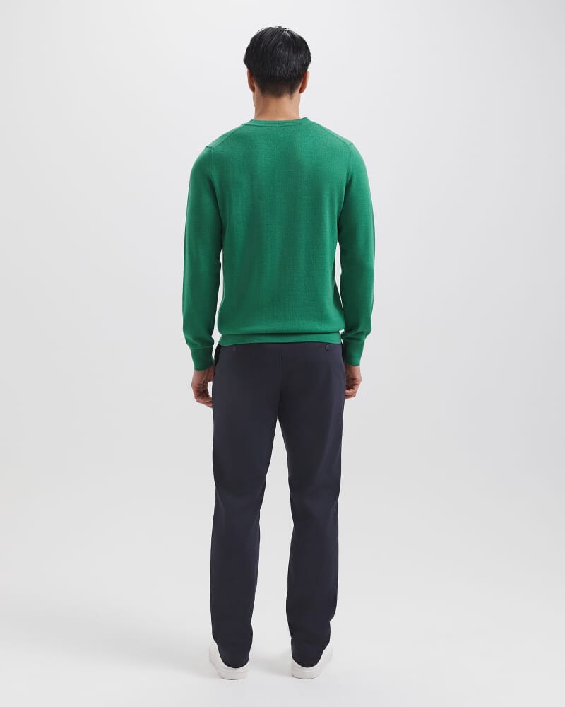 Franklin Merino Wool V Neck Knit in GRASS