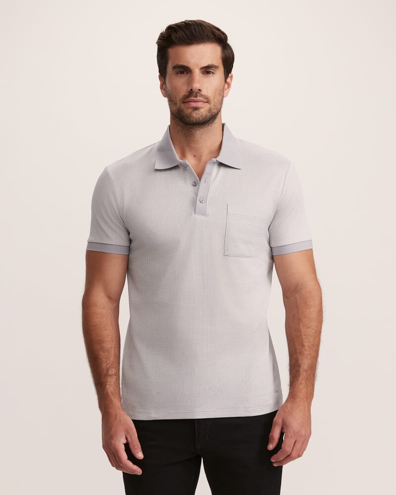 Phoenix Cotton Polo in SILVER/WHITE