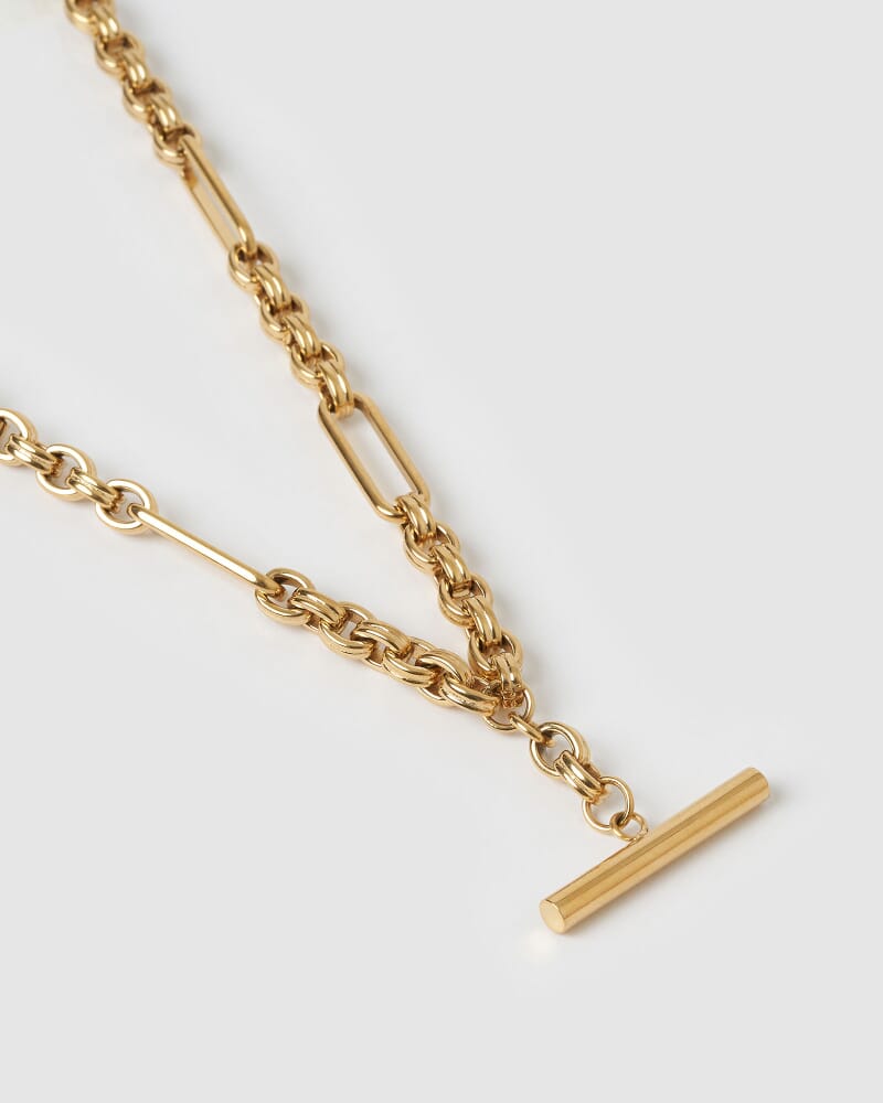 Arms Of Eve Duke Gold Necklace in GOLD