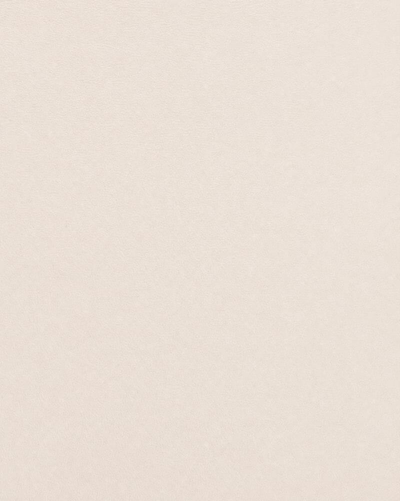 Essential Leather Belt in CREAM