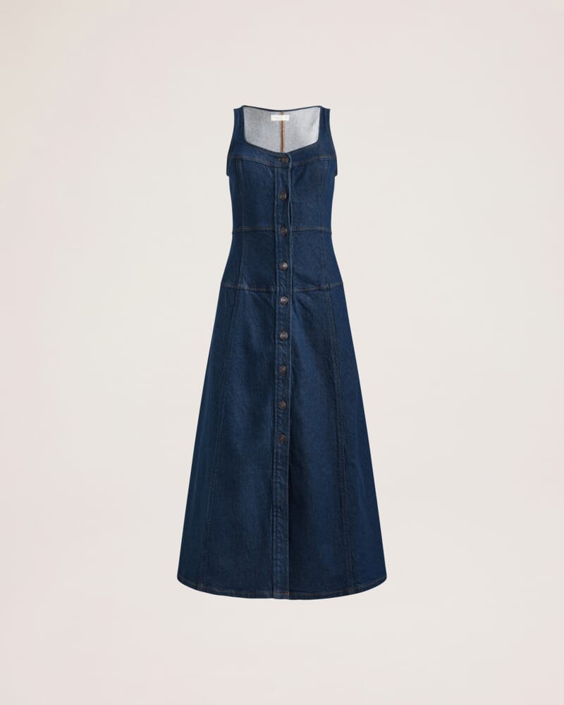 Cara Denim Midi Dress in BLUE/BLACK WASH
