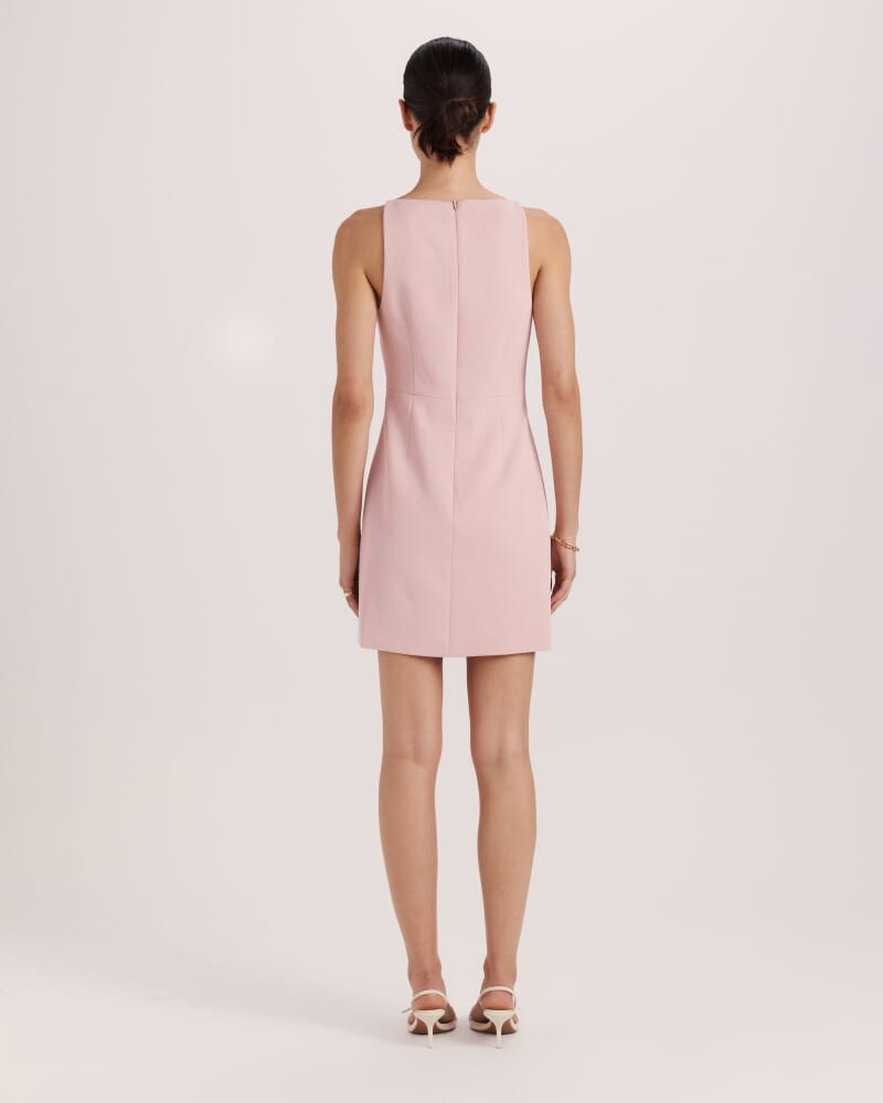Dharma Mini Dress in ROSE