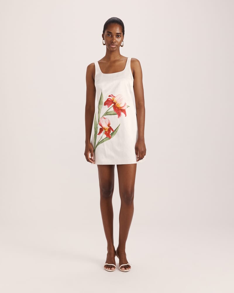 Saint Jean Mini Dress in MULTI