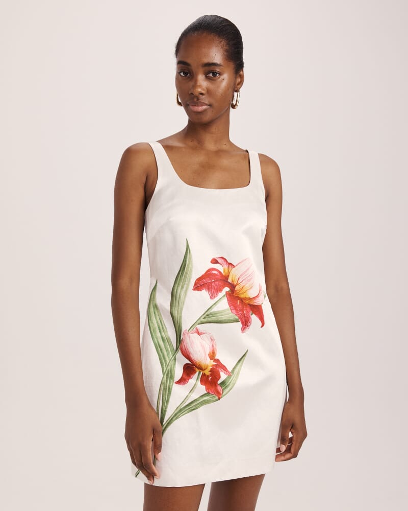 Saint Jean Mini Dress in MULTI