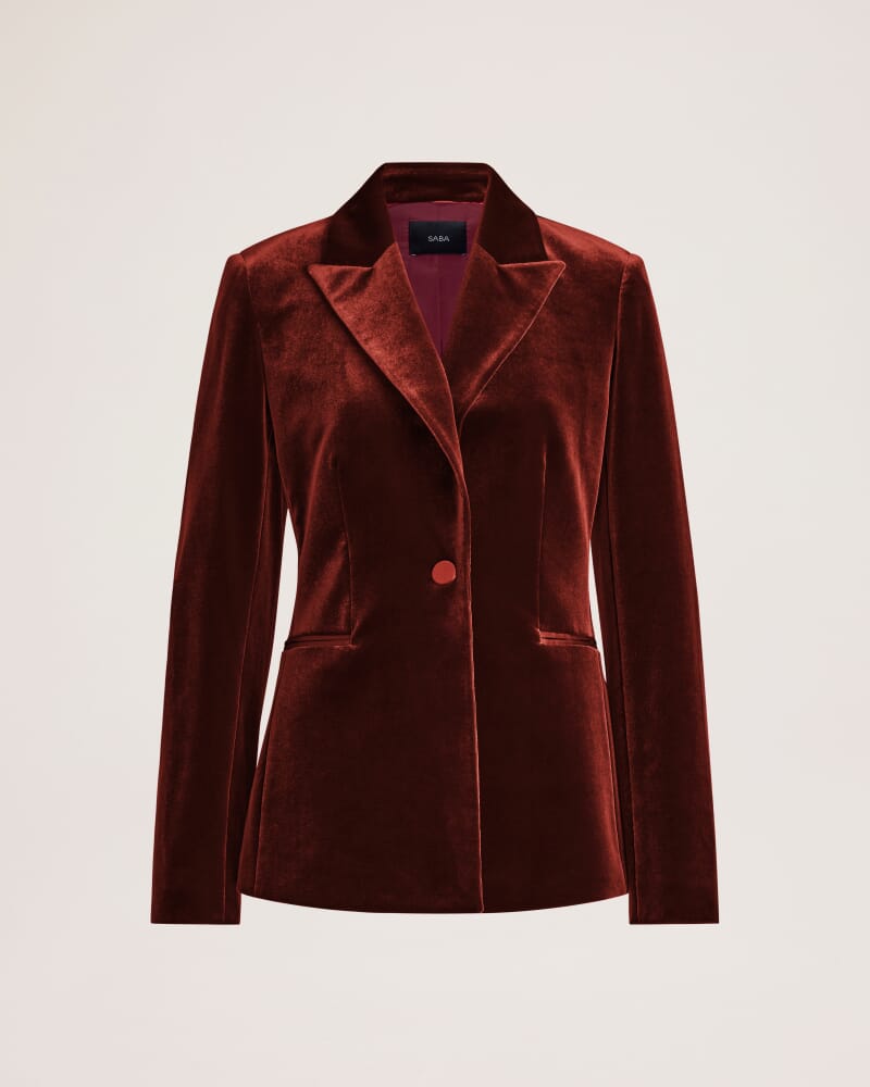 Lea Velvet Blazer in GARNET