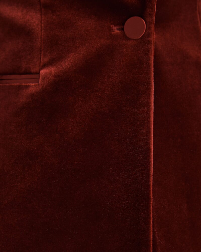 Lea Velvet Blazer in GARNET