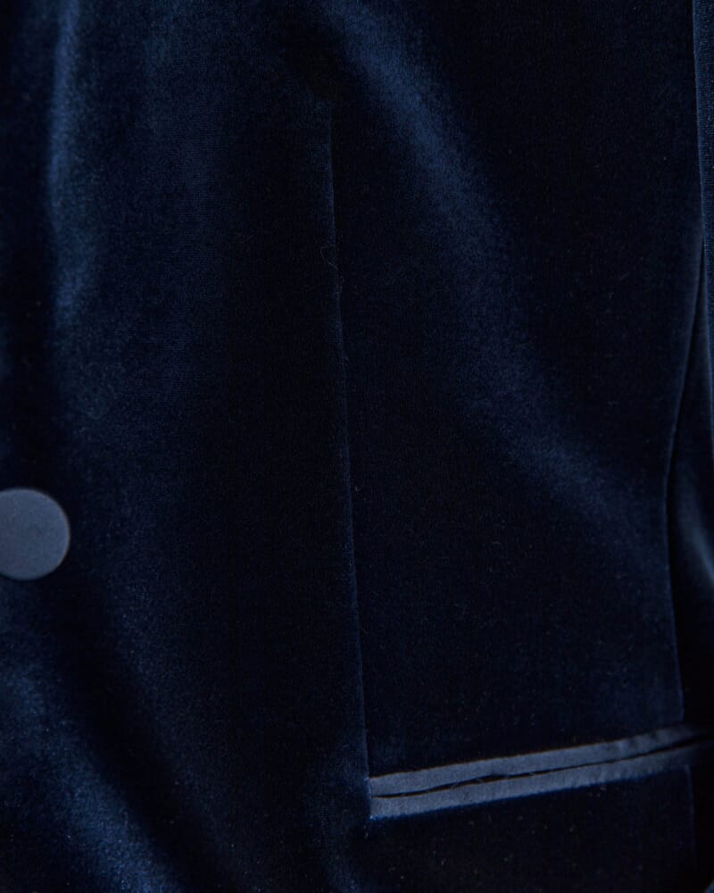 Lea Velvet Blazer in ROYAL BLUE