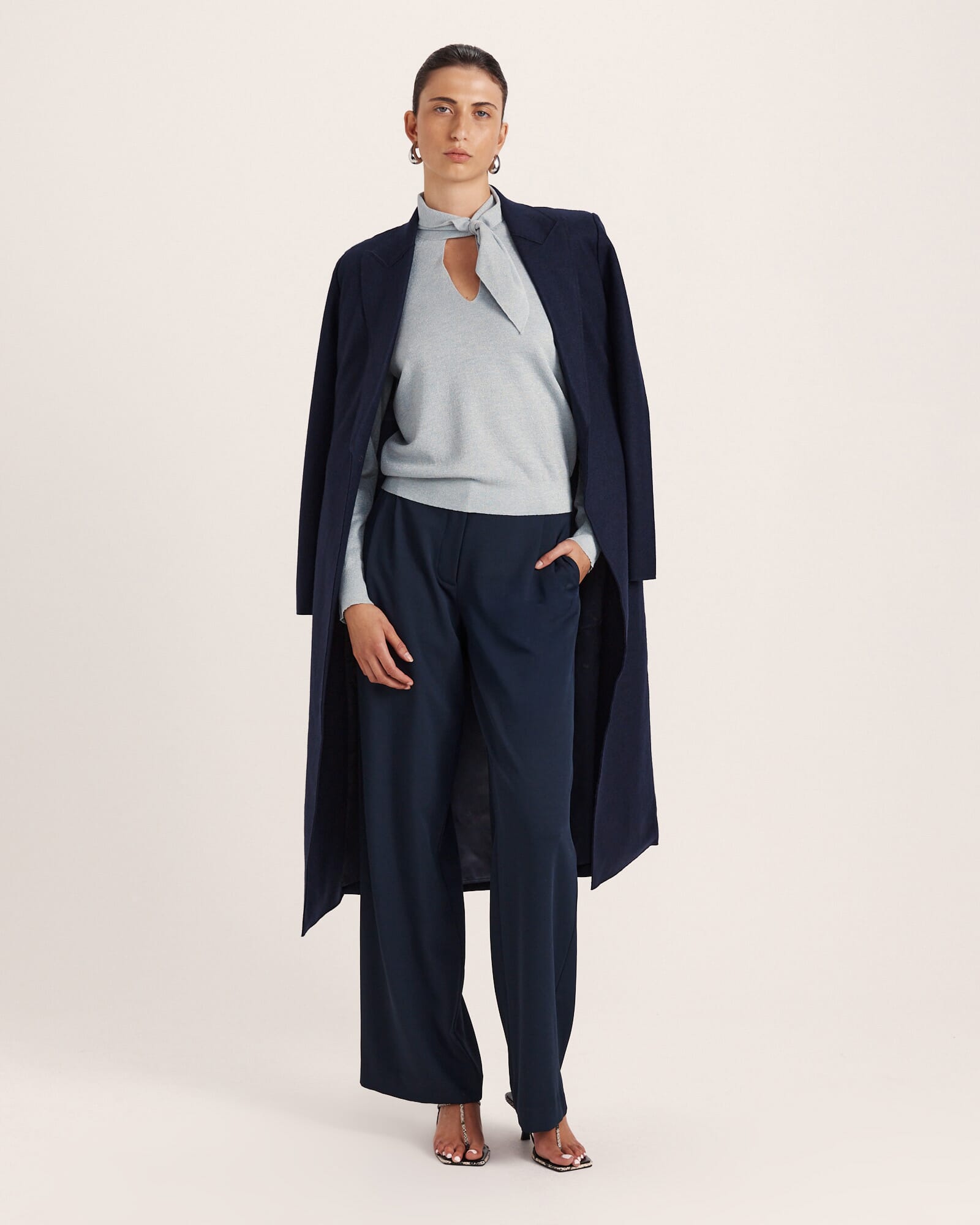 Mariya Long Sleeve Sparkling Knit