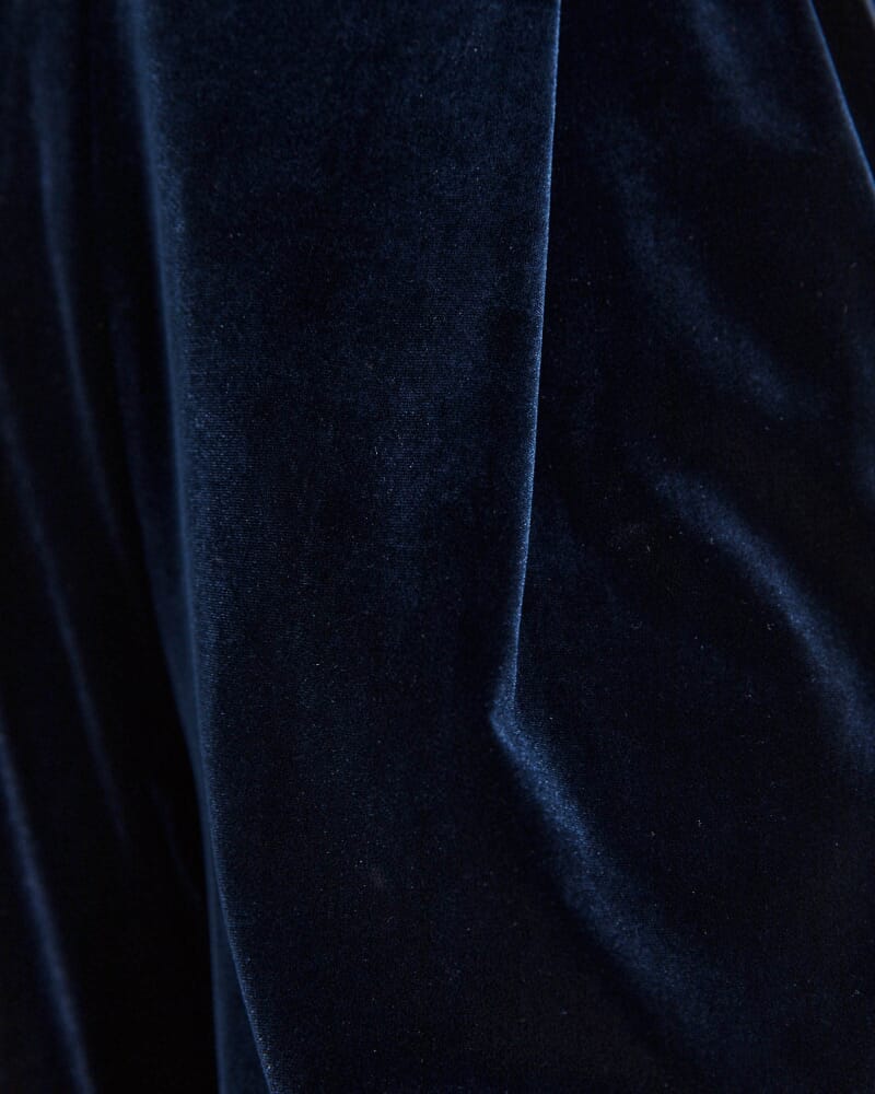 Lea Velvet Pleat Front Pant in ROYAL BLUE