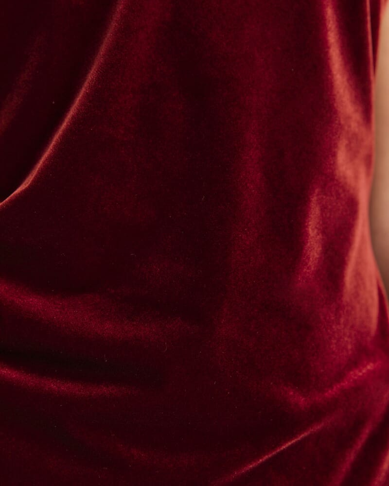Lea Velvet Bias Tank in GARNET